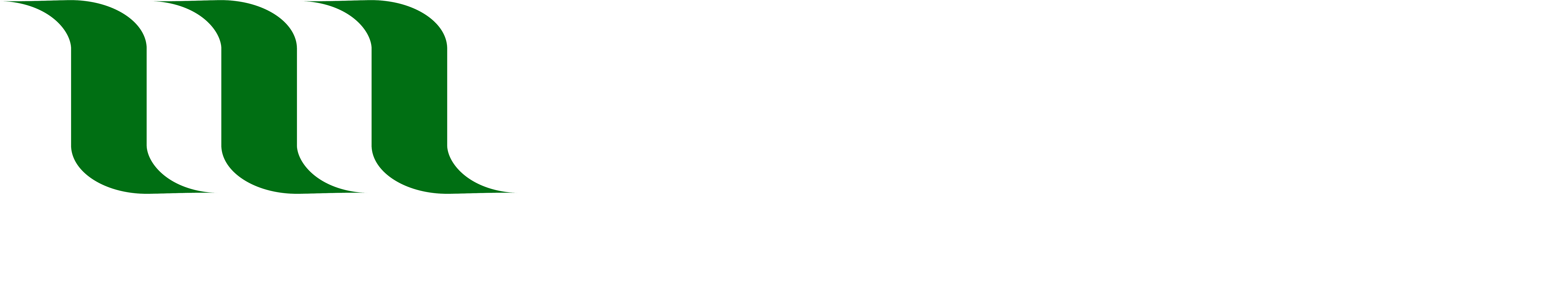 Partners Motus Energy LLC